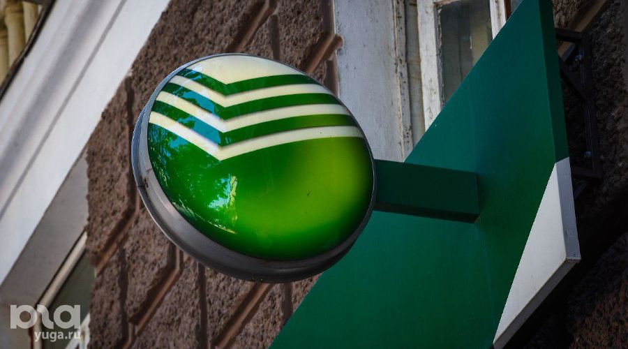  © Фото Елены Синеок, Юга.ру