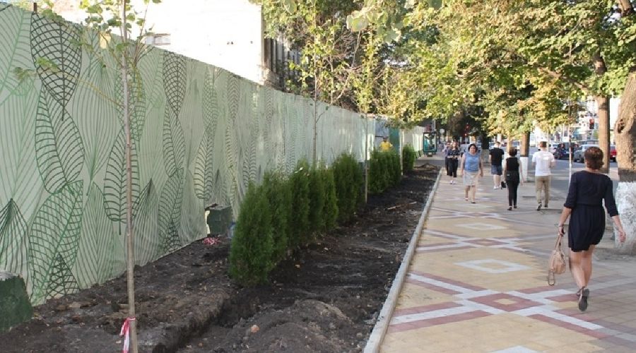  © Фото пресс-службы администрации Краснодара