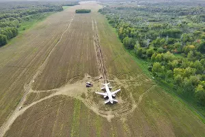 Самолет Сочи — Омск экстренно сел в поле Новосибирской области &copy;&nbsp;фото предоставлено авиакомпанией &laquo;Уральские авиалинии&raquo;