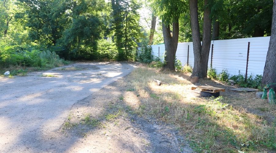  © Фото пресс-службы администрации Краснодара