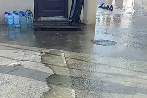  &copy;&nbsp;Фото Марка Колесникова