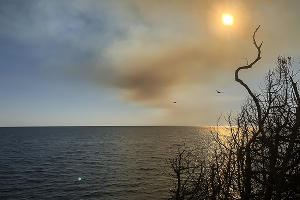 Пожар в заповеднике «Утриш» &copy;&nbsp;Фото Виталия Кавтарадзе