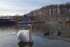 «Кремниевы Термы» © Фото Антона Быкова, Юга.ру