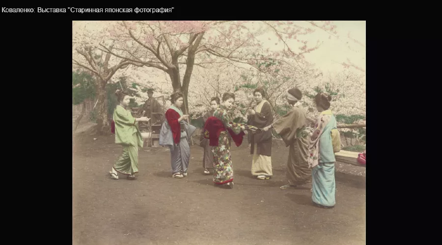  &copy;&nbsp;Скриншот из электронного письма от пресс-службы музея имени Коваленко