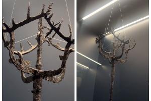  © Скриншот из телеграм-канала краснодарского музея имени Фелицына