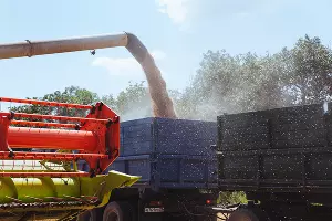 Уборка зерновых в Краснодарском крае &copy;&nbsp;Фото Амины Ибрагимовой, Юга.ру