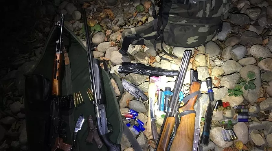  &copy;&nbsp;Фото пресс-службы Сочинского нацпарка