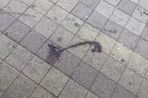 Место преступления &copy;&nbsp;Фото Валерии Дульской, Юга.ру