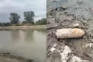  &copy;&nbsp;Скриншоты из видео, которое предоставила пресс-службой Росгвардии по Краснодарскому краю