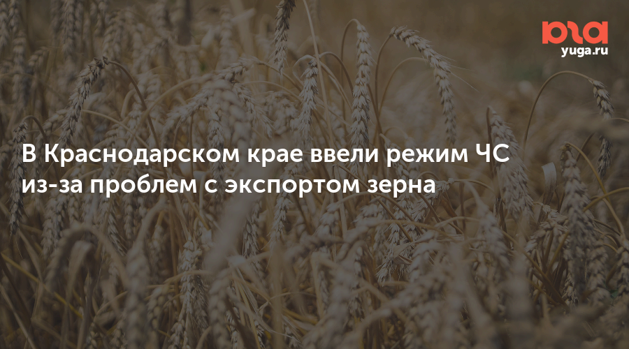 В Краснодарском крае ввели режим ЧС из-за проблем с экспортом зерна