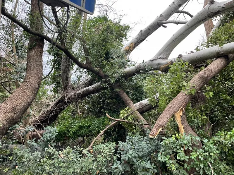  &copy;&nbsp;Фото пресс-службы администрации Сочи