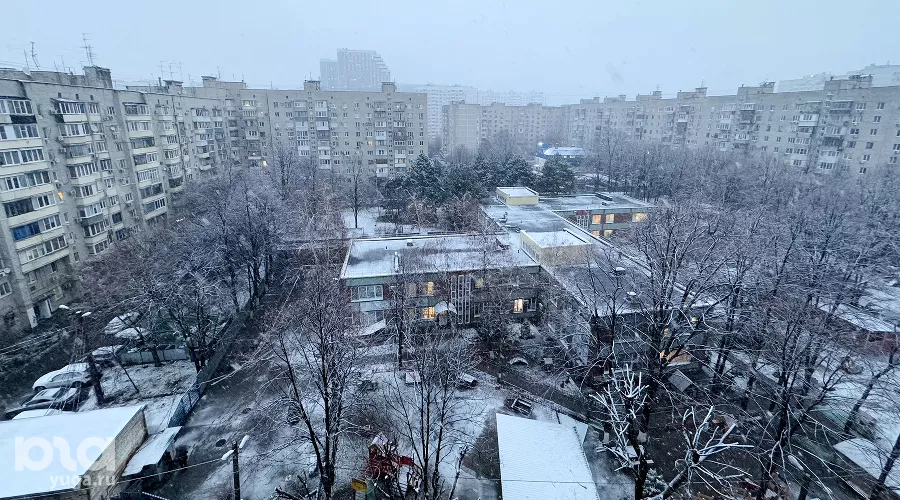  &copy;&nbsp;Фото Марии Журавлевой, Юга.ру