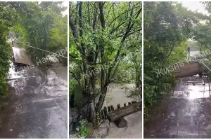  &copy;&nbsp;Коллаж скриншотов из видео телеграм-канала &laquo;Жизнь на море - Геленджик Новороссийск Анапа&raquo;, t.me/giznnamore