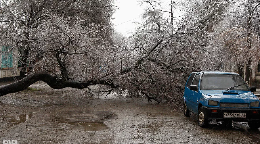 Последствия ледяного дождя в Краснодаре &copy;&nbsp;Влад Александров, ЮГА.ру