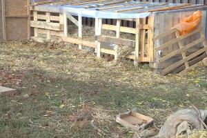  © Фото Валентины Раилко