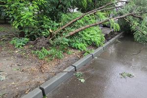  © Фото Евгения Дульского, Юга.ру