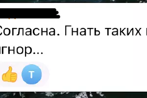  &copy;&nbsp;Скриншоты комментариев в соцсетях