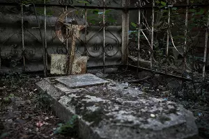 Еврейское кладбище Краснодара &copy;&nbsp;Фото Елены Синеок, Юга.ру