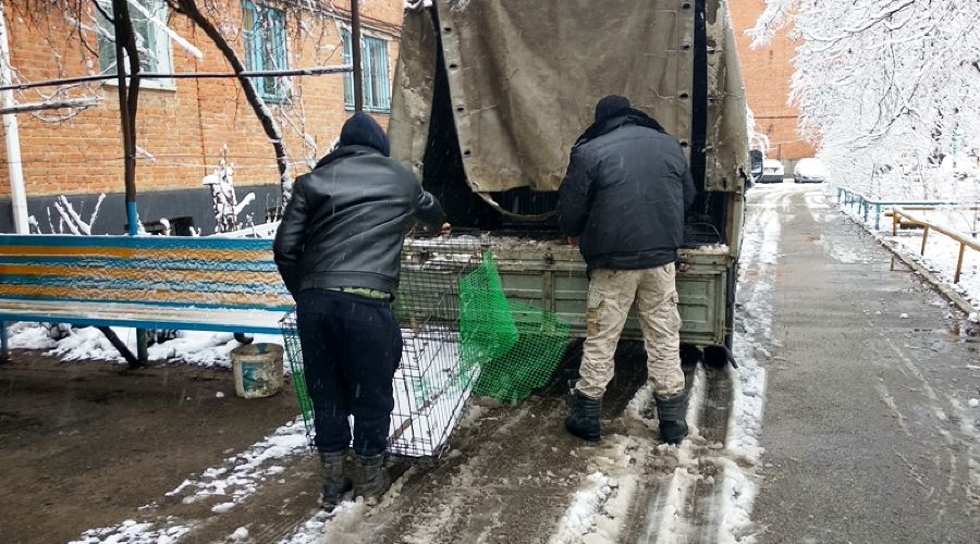  © Фото пресс-службы УФССП по Республике Адыгея