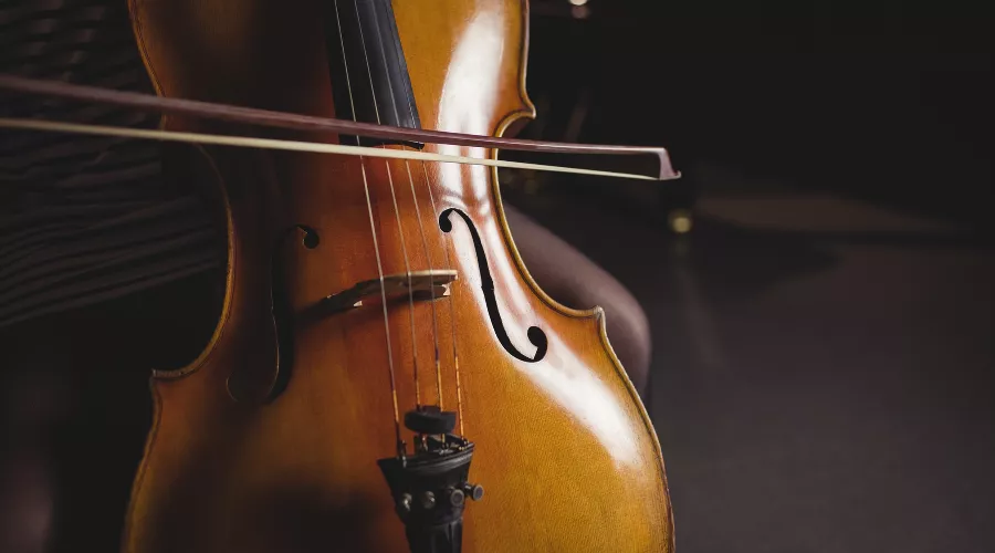  &copy;&nbsp;Фото wavebreakmedia_micro, Freepik.com