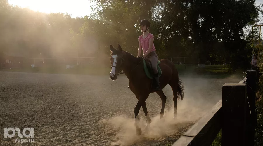  &copy;&nbsp;Фото Николая Хижняка, Юга.ру