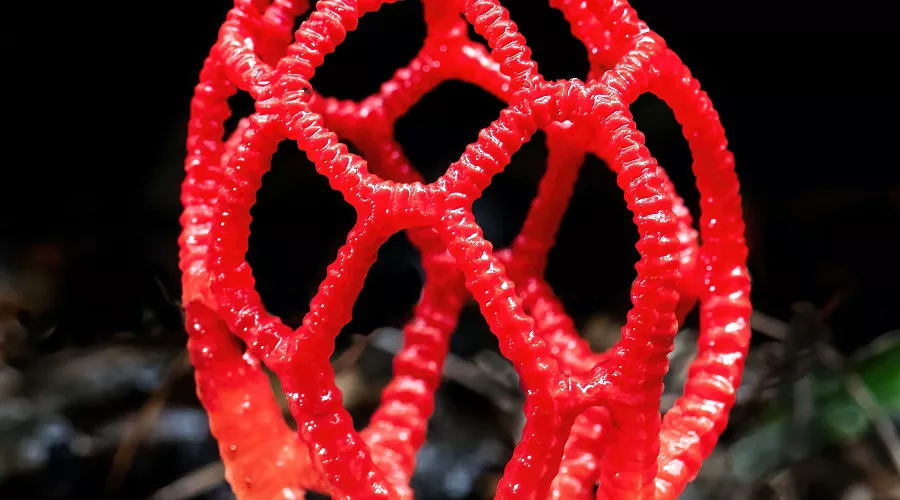  &copy;&nbsp;Фото пользователя David Clode сайта Unsplash.com