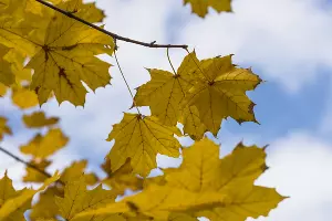  &copy;&nbsp;Фото Елены Синеок, Юга.ру