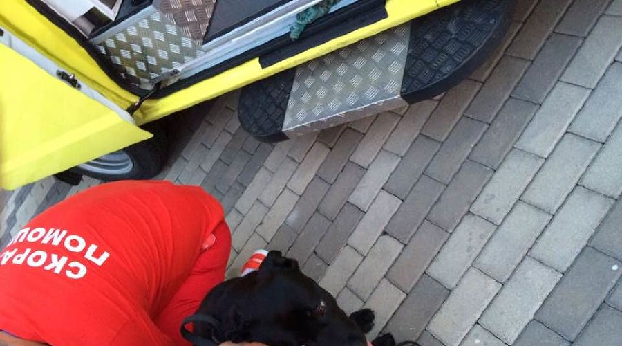  © Фото со страницы facebook.com/profile.php?id=100000518707927