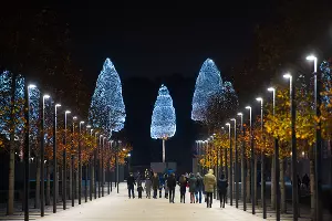 Парк «Краснодар»  с новогодней подсветкой &copy;&nbsp;Фото Елены Синеок, Юга.ру