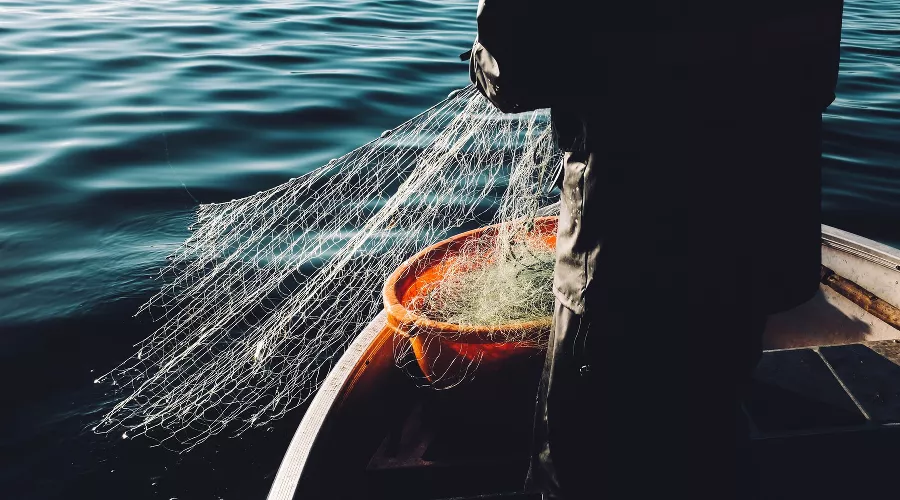  &copy;&nbsp;Фото Fredrik Öhlander, unsplash.com