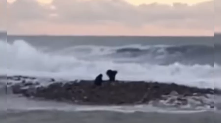  &copy;&nbsp;Скриншот видео