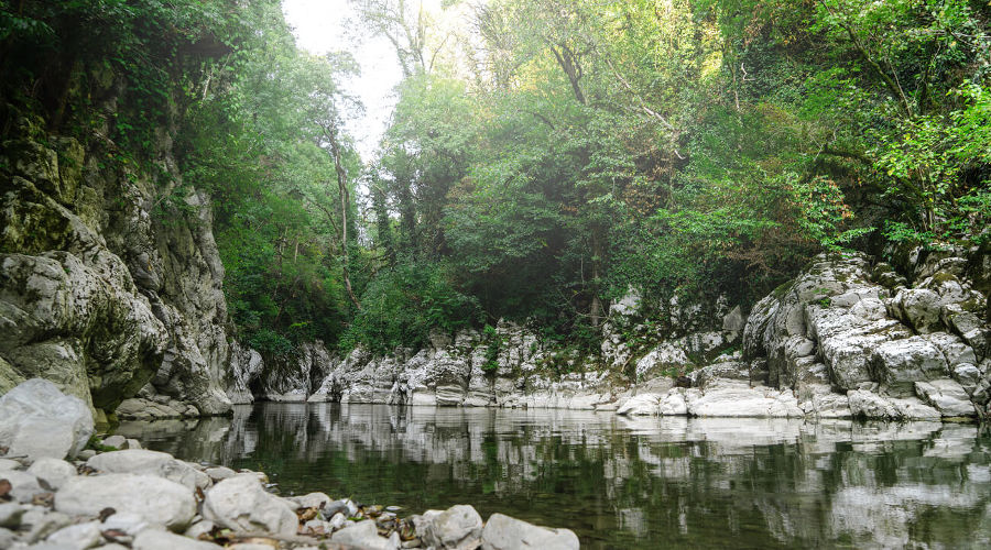  © Фото AmixStudio, freepik.com