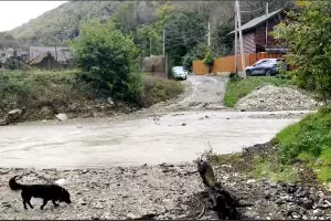  &copy;&nbsp;Скриншот из телеграм-канала &laquo;Утренний Юг&raquo; https://t.me/UtrennijYug/40338?single