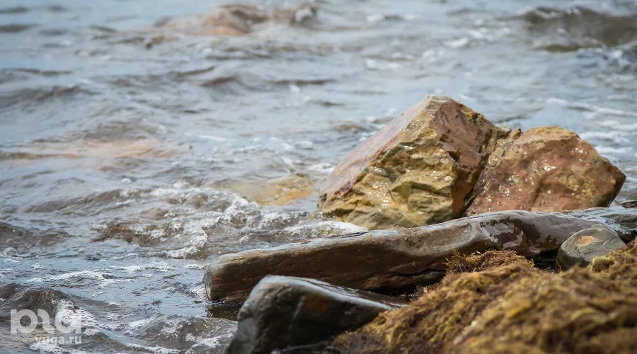  &copy;&nbsp;Фото Елены Синеок, Юга.ру