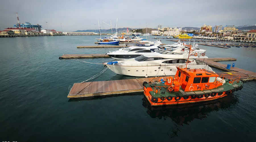  &copy;&nbsp;Фото Елены Синеок, Юга.ру