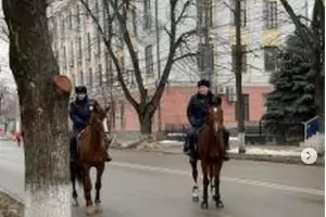  &copy;&nbsp;Скриншот со страницы instagram.com/tipichkras