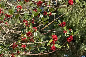  &copy;&nbsp;Фото Марины Солошко, Юга.ру