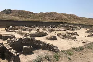 Фанагорийская экспедиция &copy;&nbsp;Фото предоставлено фондом &laquo;Вольное дело&raquo;