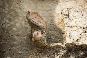 Раскопки в Фанагории © Фото Елены Синеок, Юга.ру
