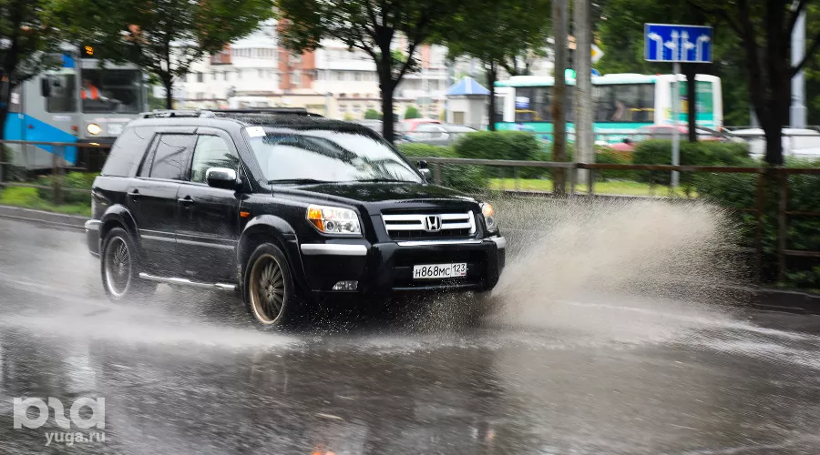  &copy;&nbsp;Фото Елены Синеок, Юга.ру