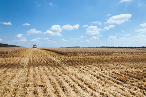 Уборка зерновых в Краснодарском крае © Фото Амины Ибрагимовой, Юга.ру