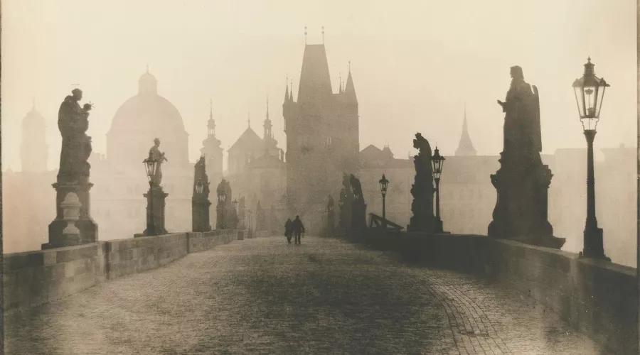  &copy;&nbsp;Скриншот фото из телеграм-канала Краснодарского выставочного зала