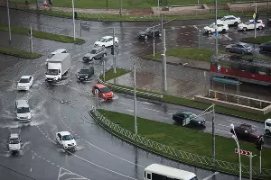  &copy;&nbsp;Фото Елены Синеок, Юга.ру