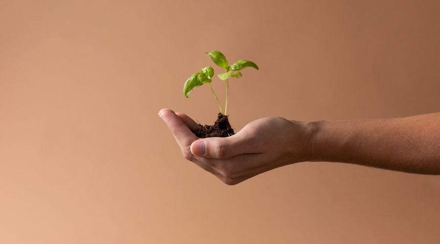  &copy;&nbsp;Фото freepik, freepik.com