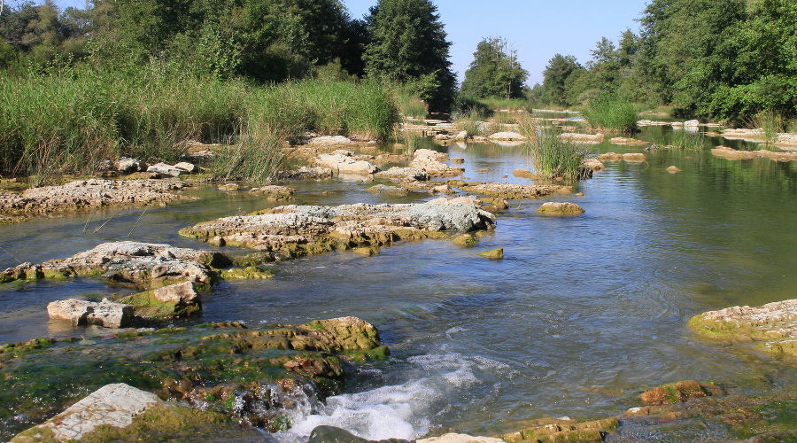  © Фото пресс-службы администрации Краснодарского края