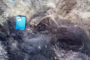  &copy;&nbsp;Фото пресс-службы ГБУ РК &laquo;Восточно-Крымский историко-культурный музей-заповедник&raquo;