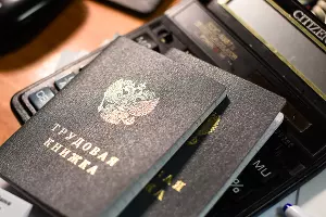 Трудовая книжка &copy;&nbsp;Фото Елены Синеок, Юга.ру