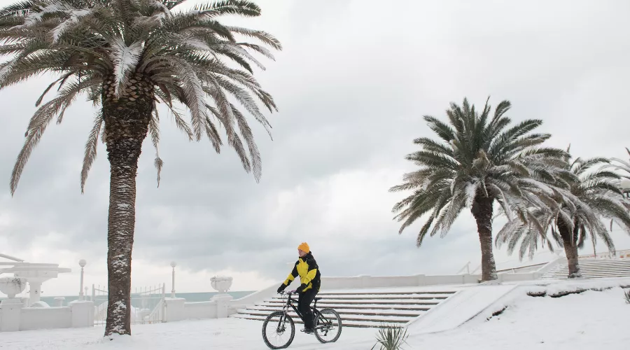 Аномальный снегопад в Сочи. 2 февраля &copy;&nbsp;Фото Юга.ру