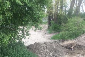  © Фото пресс-службы мэрии Краснодара