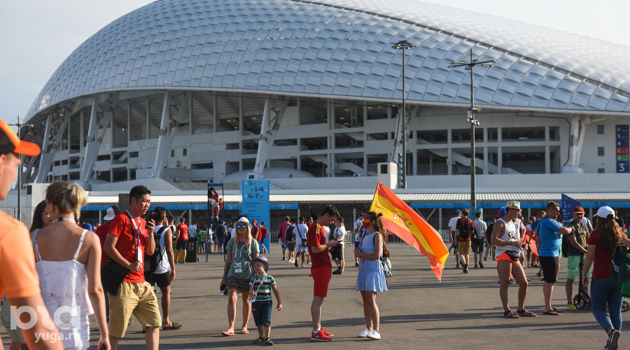 Фанаты на чемпионате мира по футболу в Сочи © Фото Елены Синеок, Юга.ру
